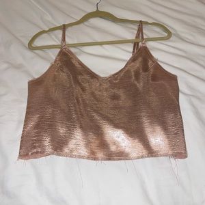 Champagne silk crop top